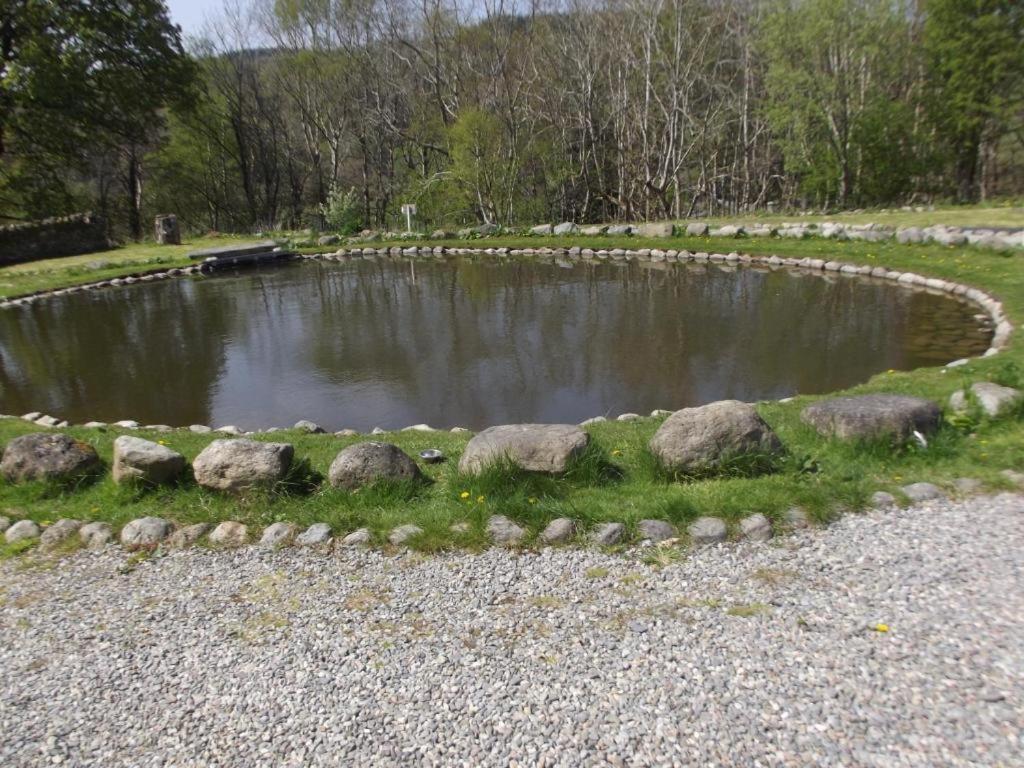 Cosy Ground Floor Disabled Friendly Room In Farm House Llandderfel Exterior photo