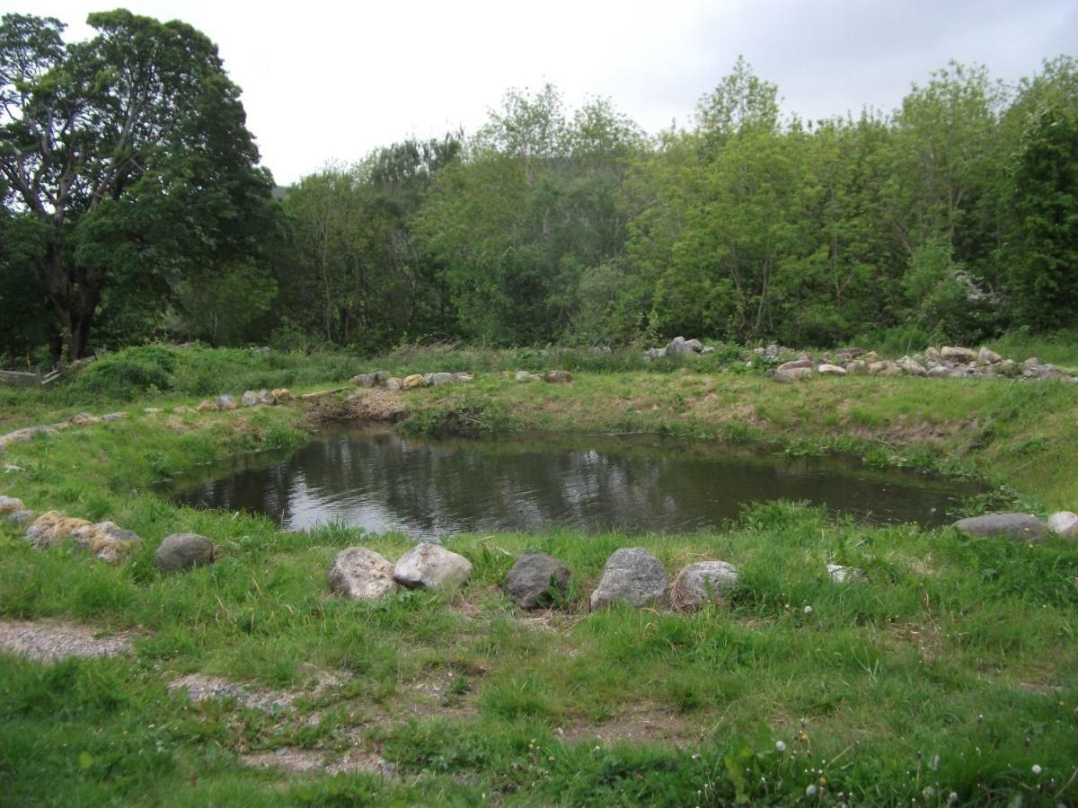 Cosy Ground Floor Disabled Friendly Room In Farm House Llandderfel Exterior photo